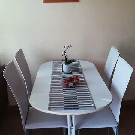 Fekete Macska Panzio