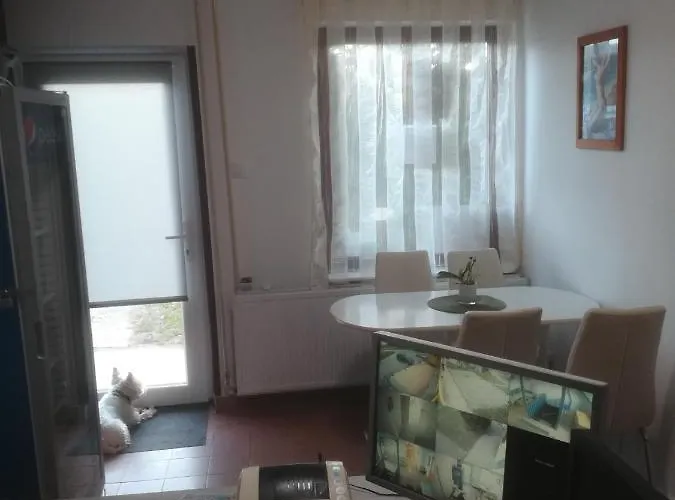 Fekete Macska Affittacamere 3*