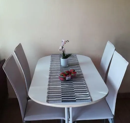 Fekete Macska